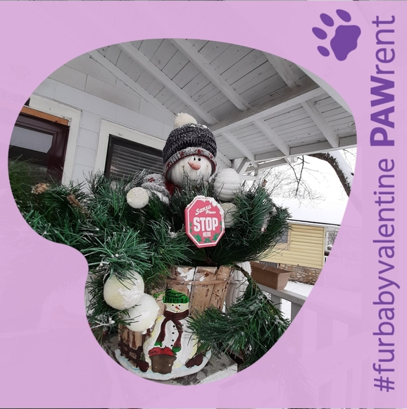 Meet your Posher, Janice - Picture 1 of 1